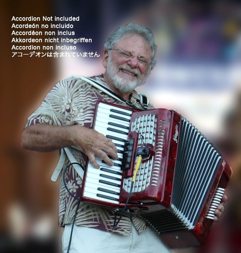 Weltmeister accordion pickup - weltmeister,
